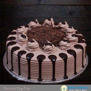 Chocolate-Chip-Cake-Template-100